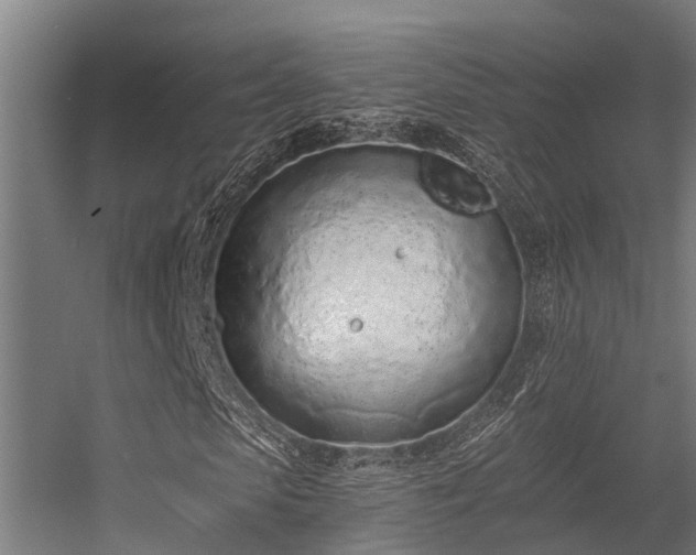 X0000056360913200509021744