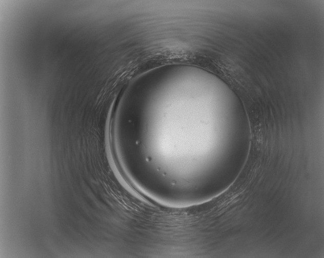 X0000056360916200509021744