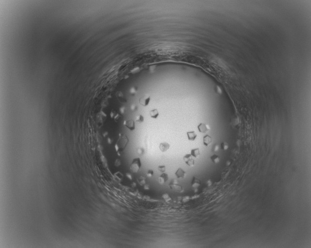 X0000056360917200509021744