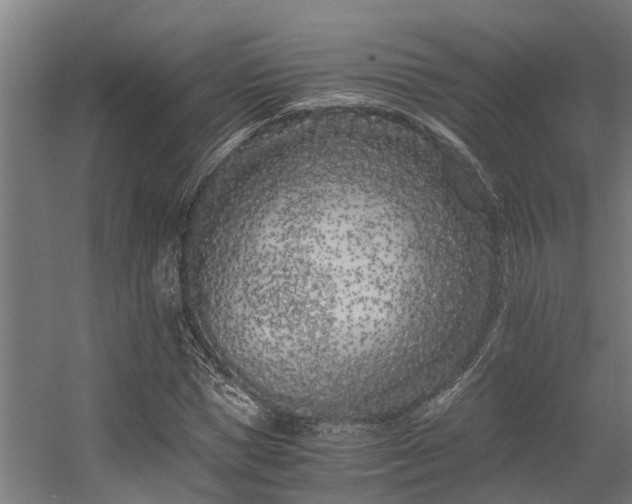 X0000056360921200509021744