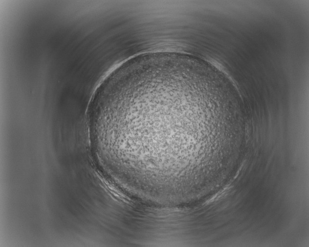 X0000056360925200509021744