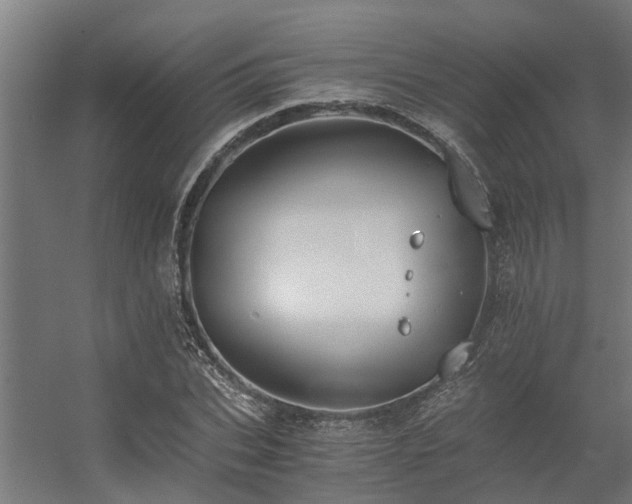 X0000056360927200509021744