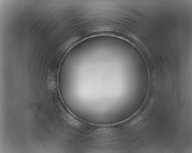 X0000056360929200509021744