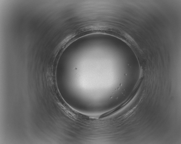 X0000056360930200509021744