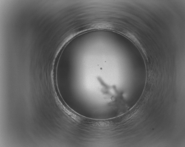 X0000056360947200509021744