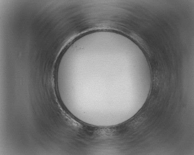 X0000056360950200509021744