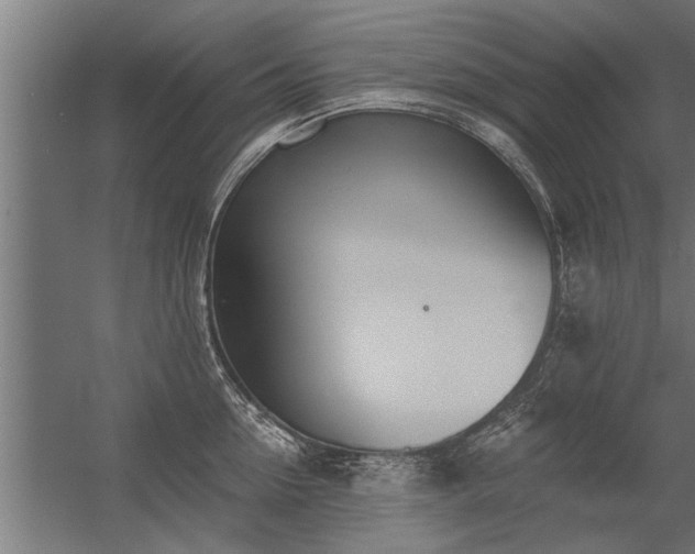 X0000056360954200509021744