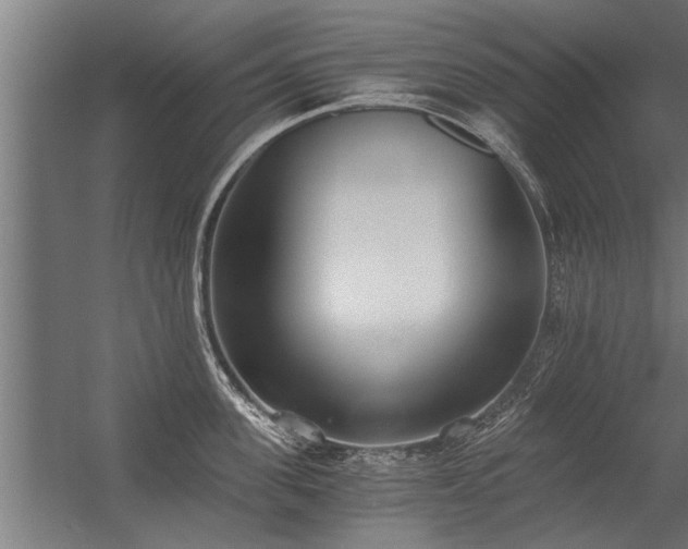 X0000056360955200509021744