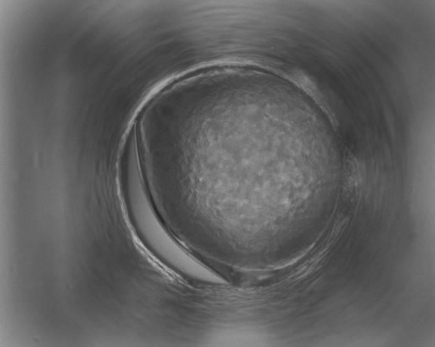 X0000056360958200509021745