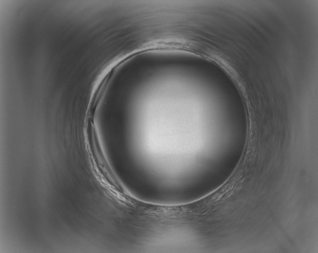 X0000056360960200509021745