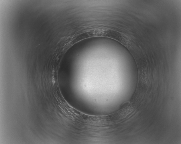 X0000056360962200509021744