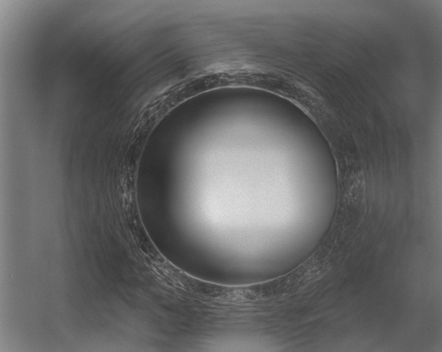 X0000056360966200509021744