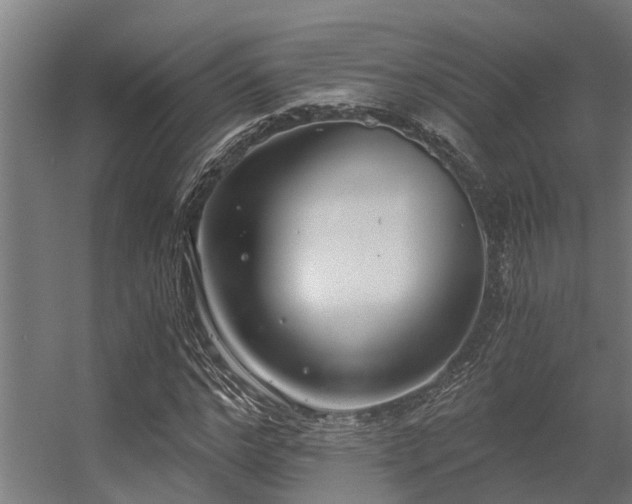 X0000056360968200509021744