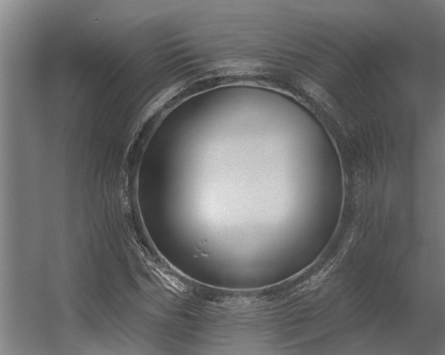 X0000056360970200509021744