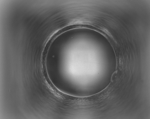 X0000056360972200509021744