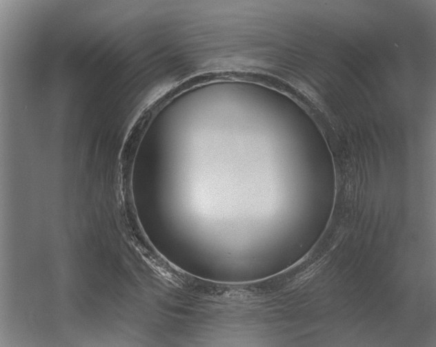 X0000056360974200509021743