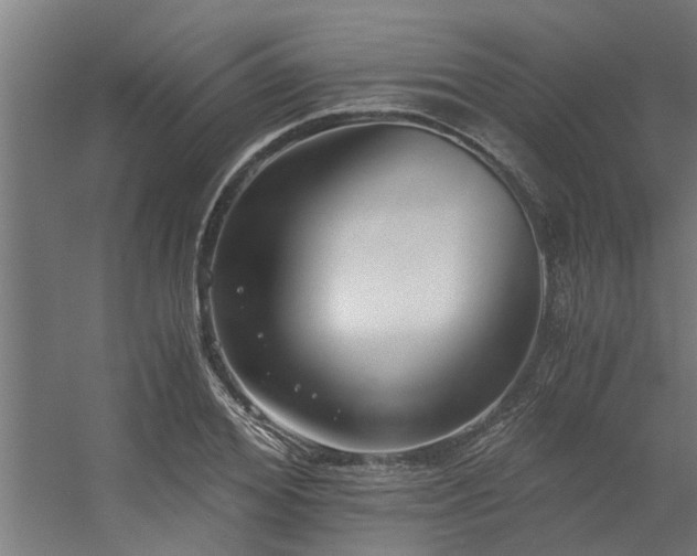 X0000056360980200509021743