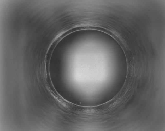 X0000056360982200509021743