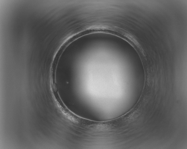 X0000056360984200509021743