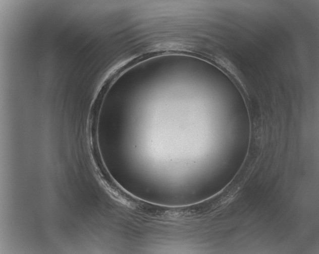 X0000056360987200509021743