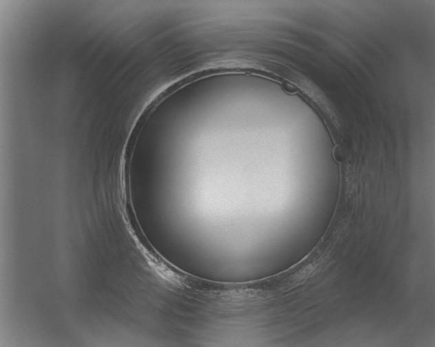 X0000056360988200509021743