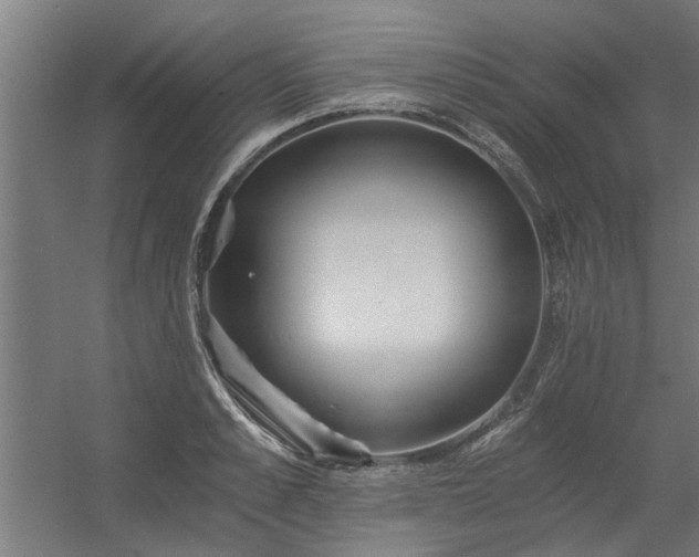 X0000056360989200509021743