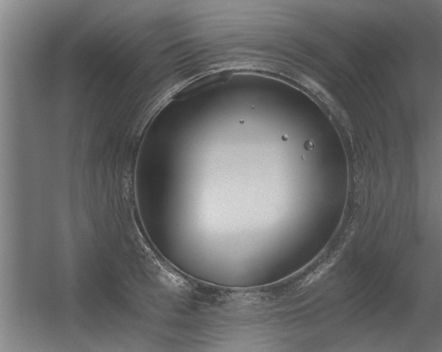 X0000056360993200509021743