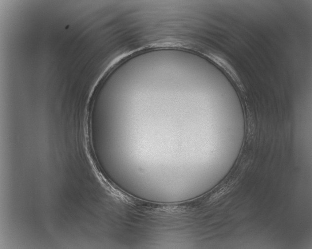 X0000056361000200509021743