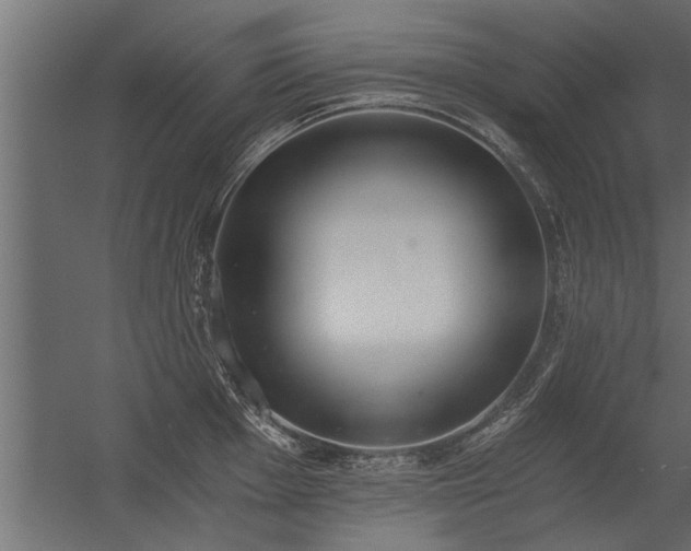 X0000056361001200509021743