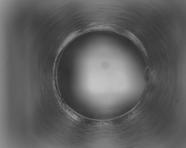 X0000056361002200509021743