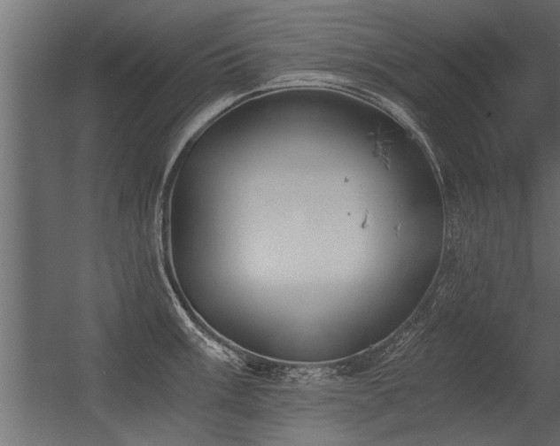 X0000056361003200509021743