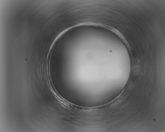 X0000056361004200509021743