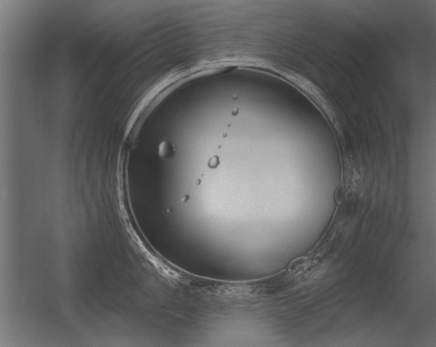 X0000056361006200509021743