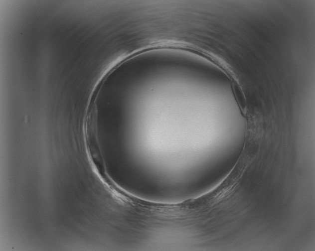 X0000056361007200509021743