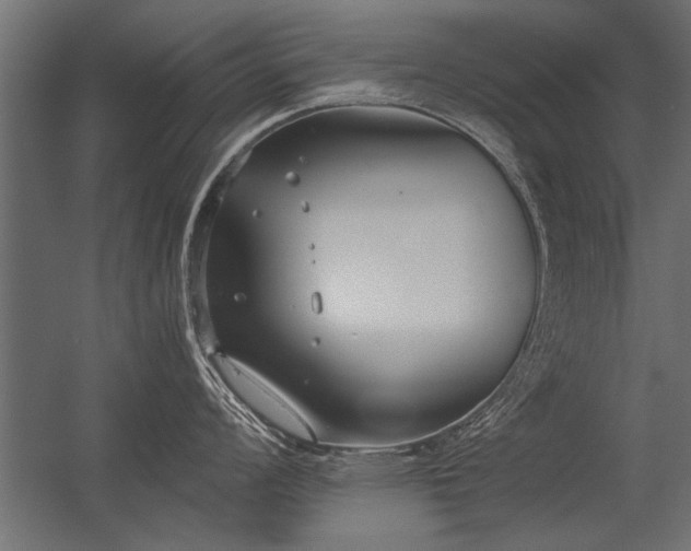 X0000056361008200509021743