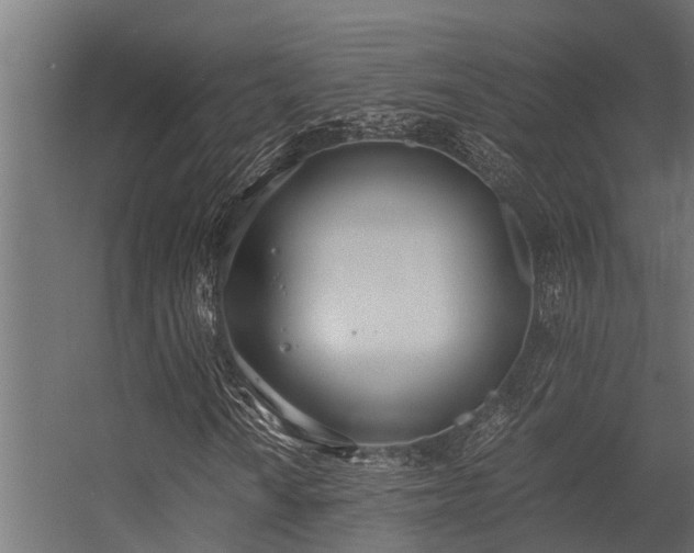 X0000056361010200509021742