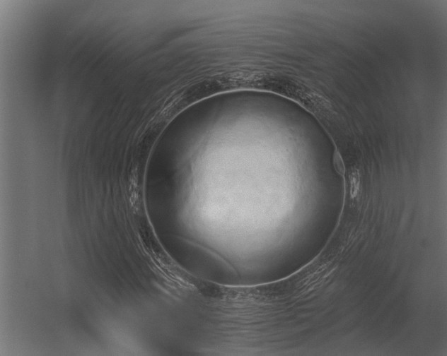 X0000056361011200509021742