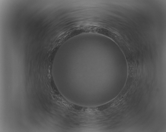 X0000056361013200509021742