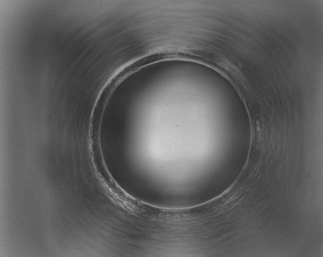 X0000056361020200509021742