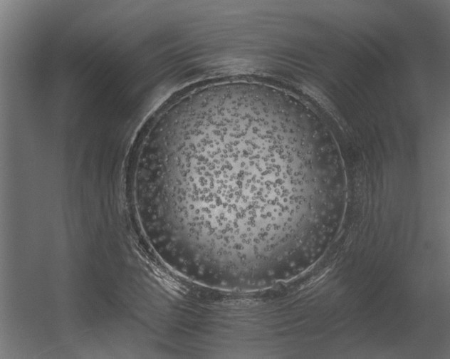 X0000056361023200509021742