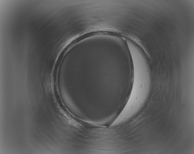 X0000056361024200509021742