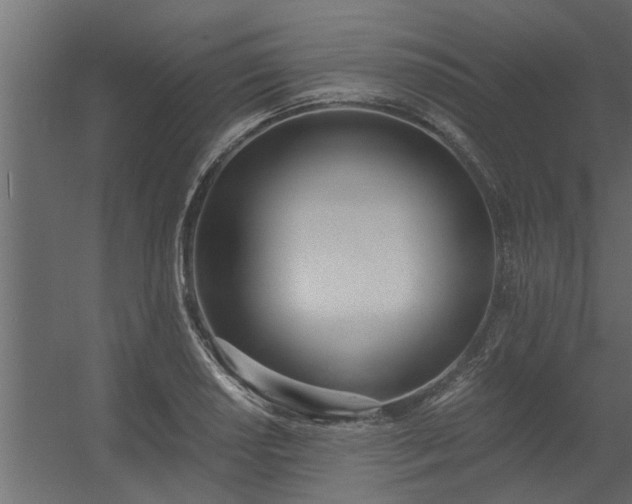 X0000056361034200509021743