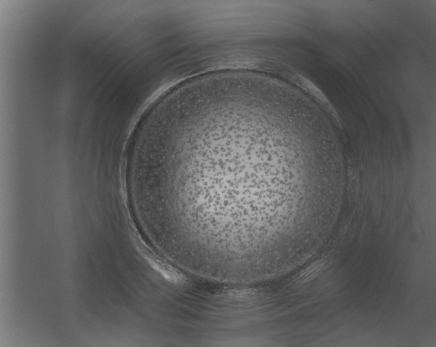 X0000056361035200509021743