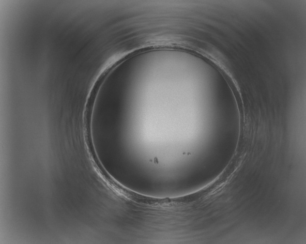 X0000056361045200509021743