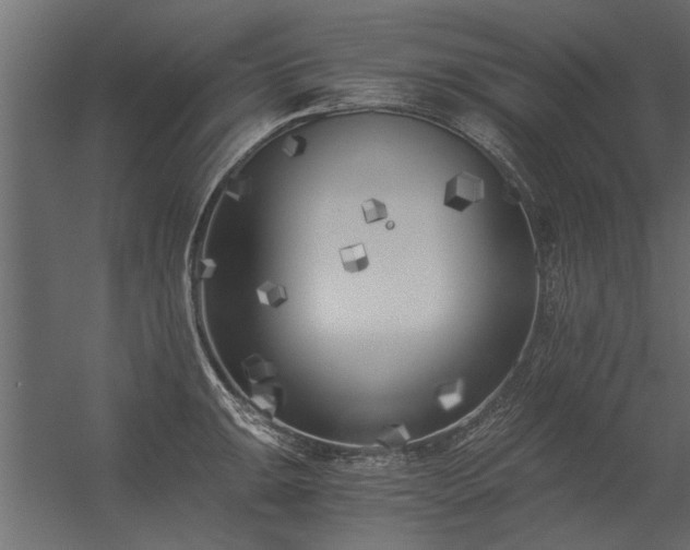 X0000056361047200509021743