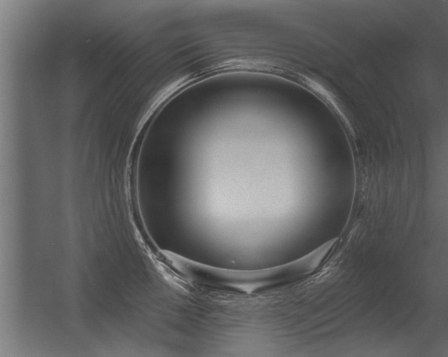 X0000056361050200509021743