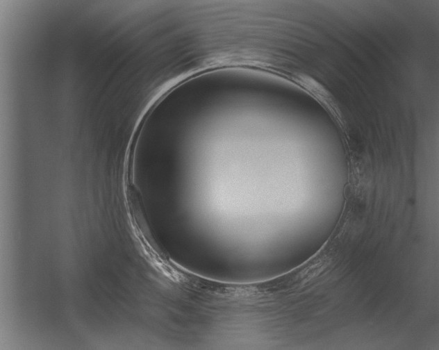 X0000056361052200509021743