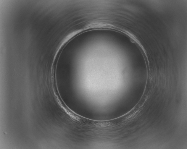 X0000056361053200509021743