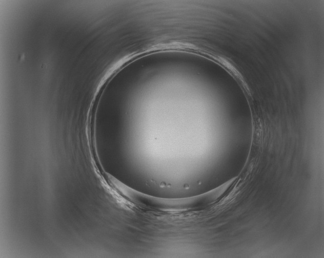 X0000056361054200509021743