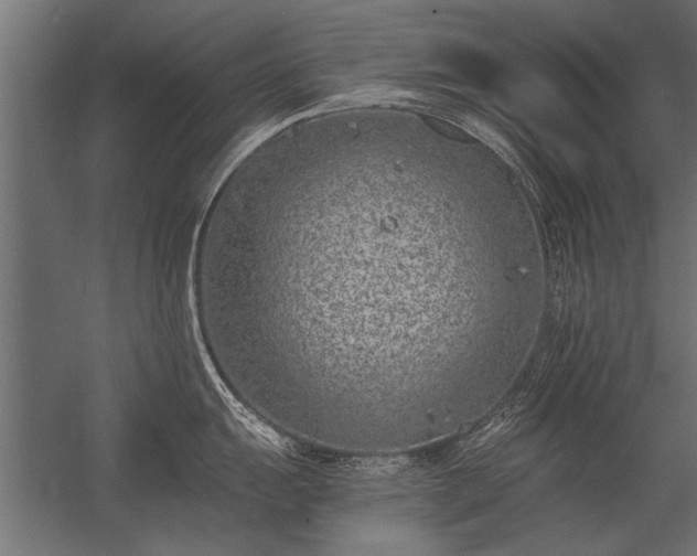 X0000056361055200509021743